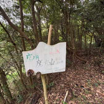 一旦帰ってきてこの標識見て
コレコレ！こっちよね〜と言って進みます
でも60分もかかる？
めちゃゆっくりペースの場合かな？
なんて話しながら