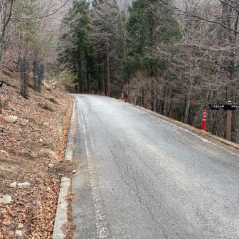 ひたすら降ると、また舗装路を跨ぎ、左➡️右へとまた、登山道に戻って、しばらく道なりに歩くと、スタートした駐車場🅿️の真裏に出てゴール🥳
2週連続、お疲れちゃんでした。