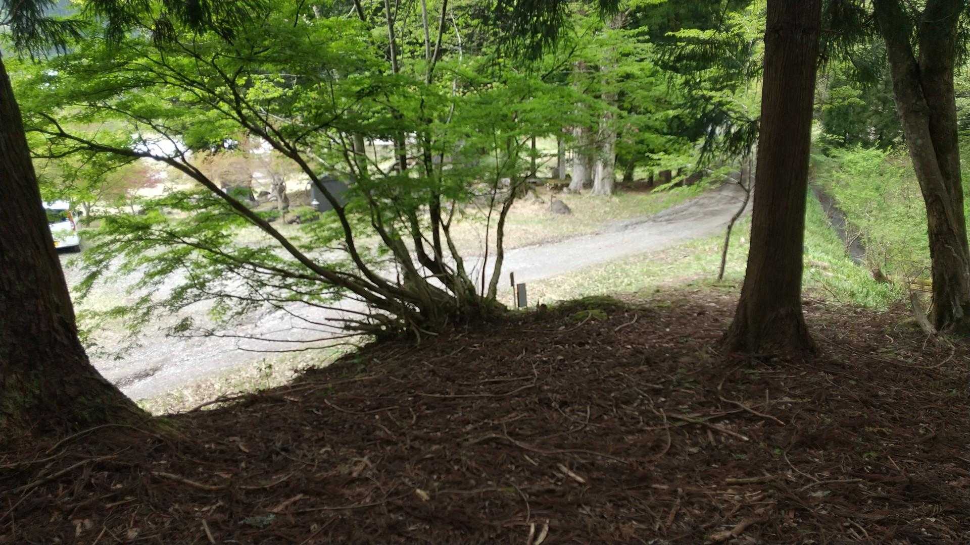 無事下山😊
最後まで、ありがとうございました🙇