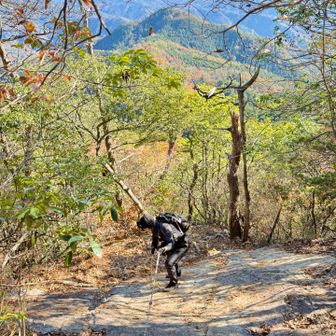かなりの激下りでロープあったり