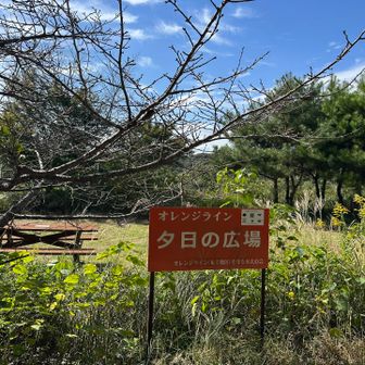 素敵な名前の広場🌇