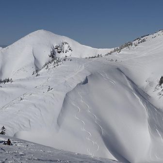良い日になりました✨
ありがとう✋