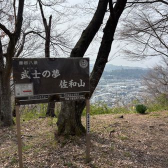 漢なら一度は天下を取ってみたいw
奥に彦根城と琵琶湖