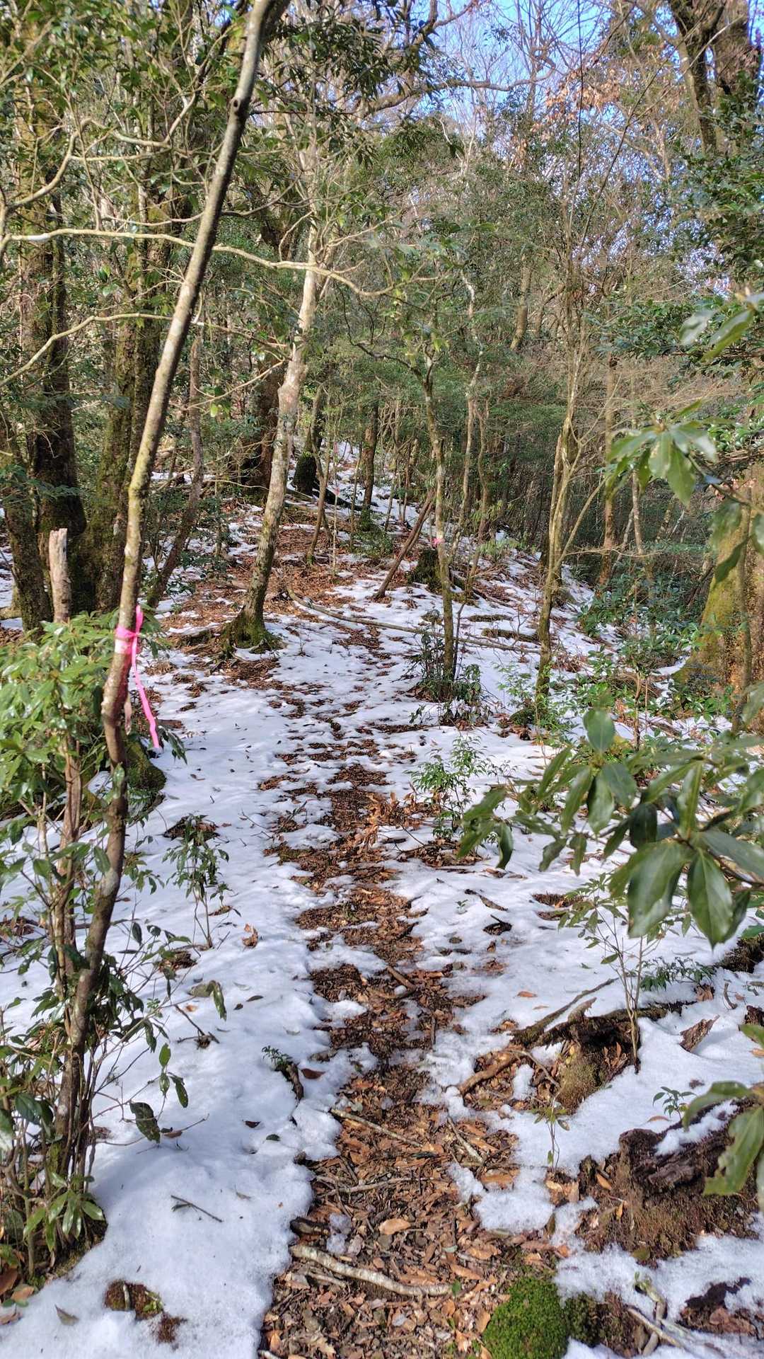 標高高くなって来ると残雪☃️
