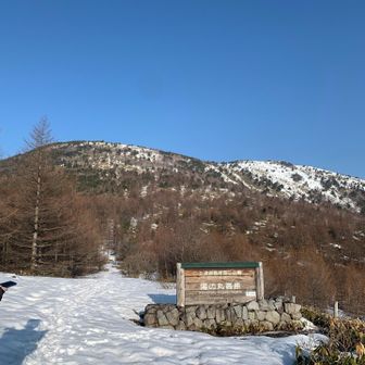 時期にはツツジが咲くようですね