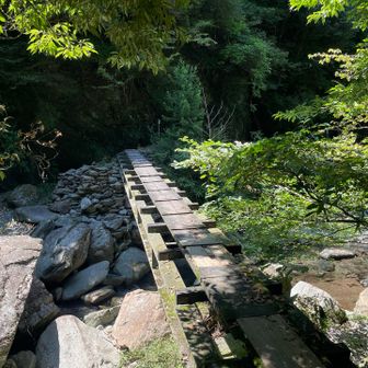 楽しかった。素晴らしい道だった。