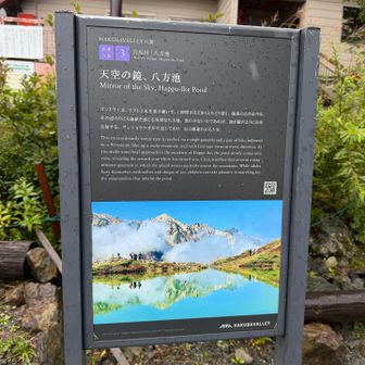 この景色はまた今度ね😊
