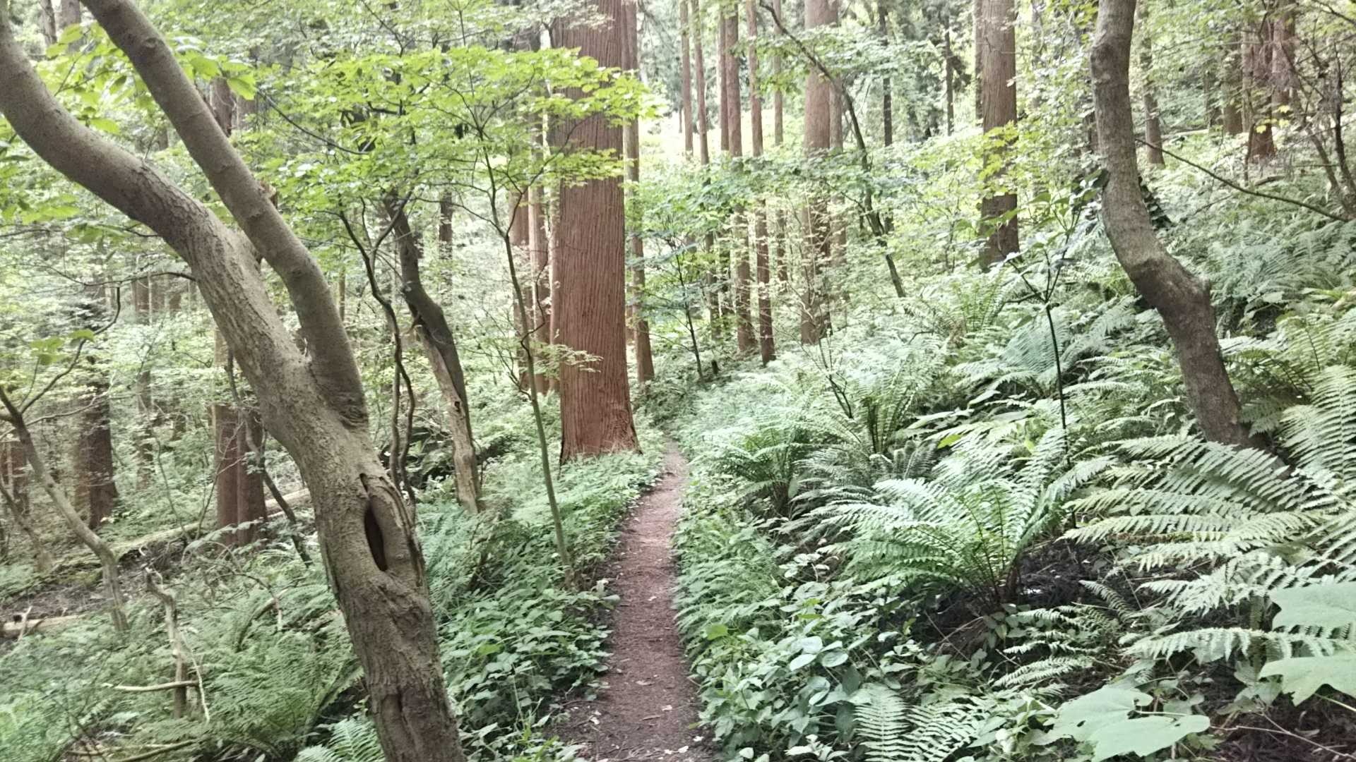 やはりステキなトラックです♪