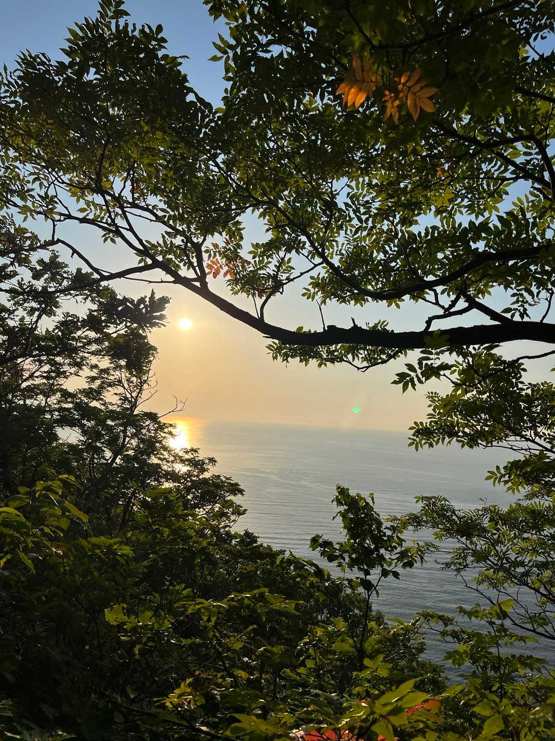 隙間からの西陽✨