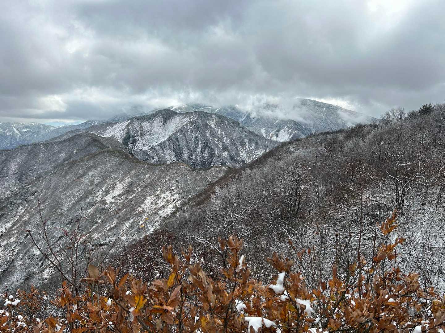 イワキ頭への稜線。雲に覆われているのは巻機山