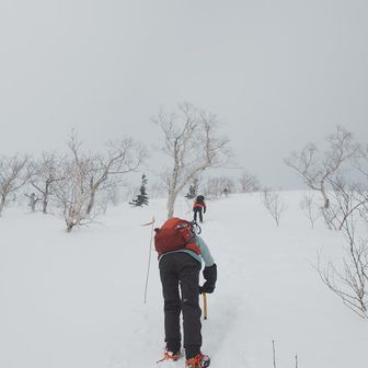 風が強くなる。