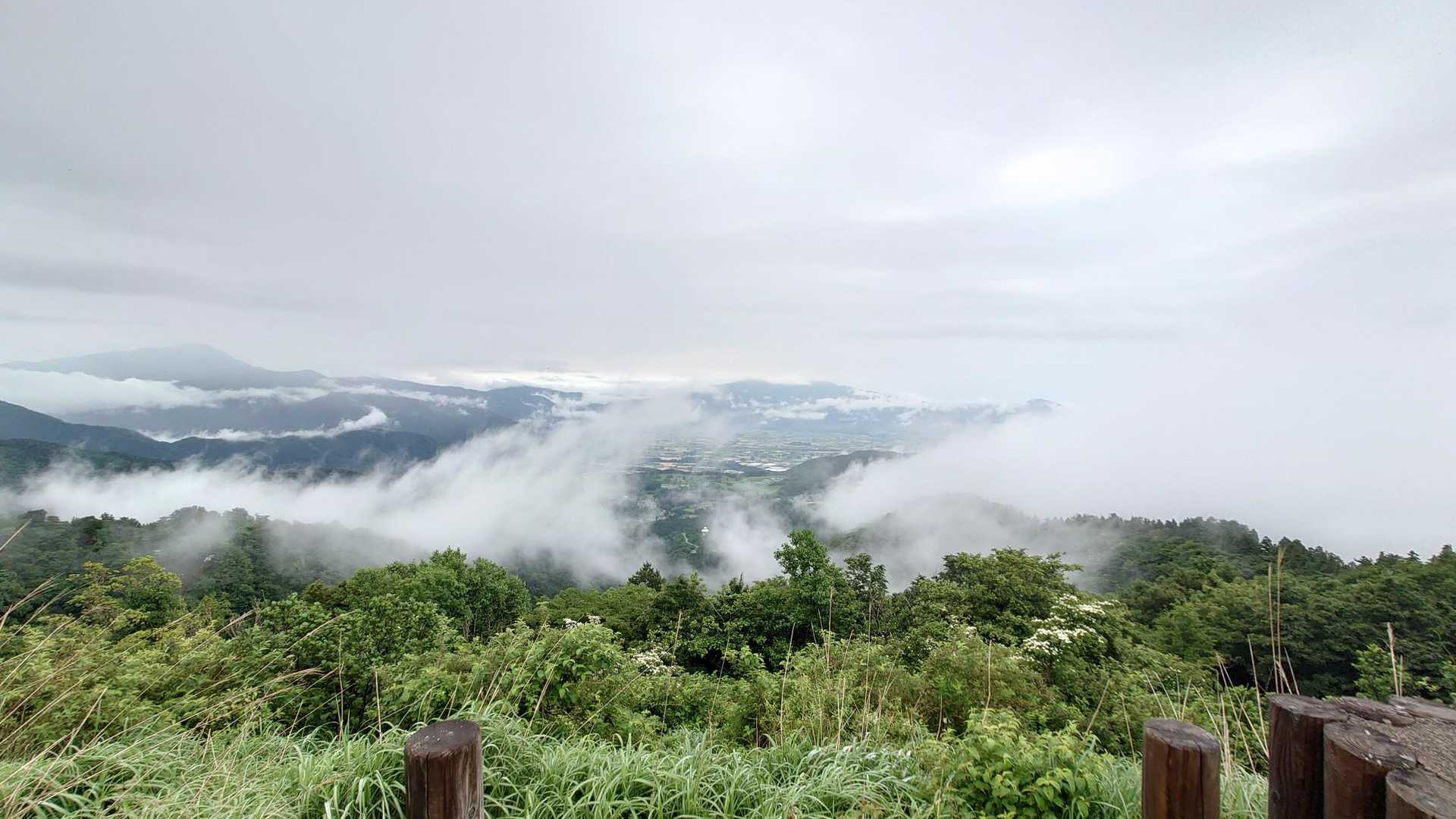 広域林道登山口-保月山-釈氏ヶ岳-中岳 往復コースの写真