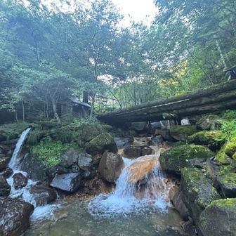 水量豊富