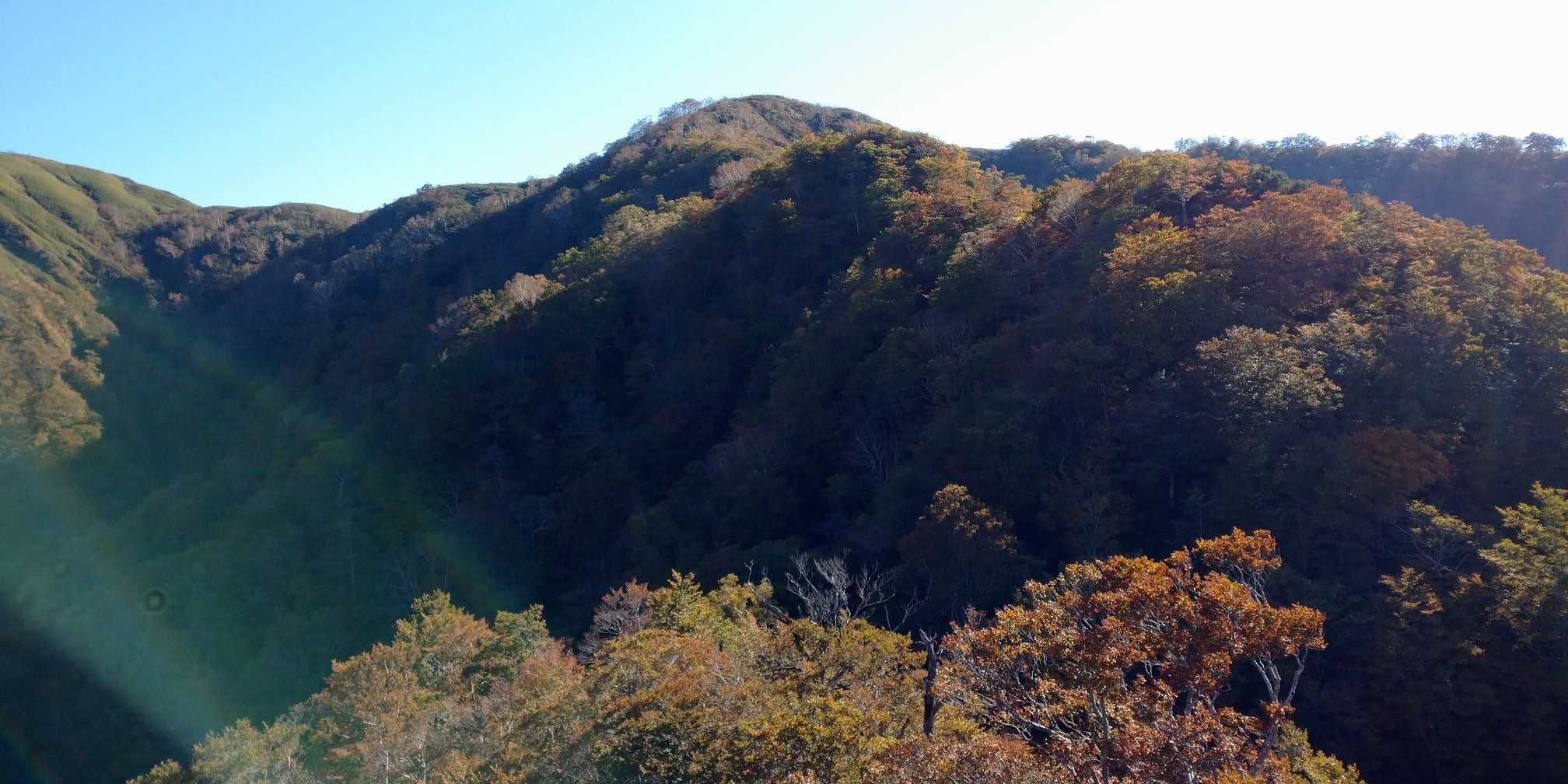 広域林道登山口-保月山-釈氏ヶ岳-中岳 往復コースの写真