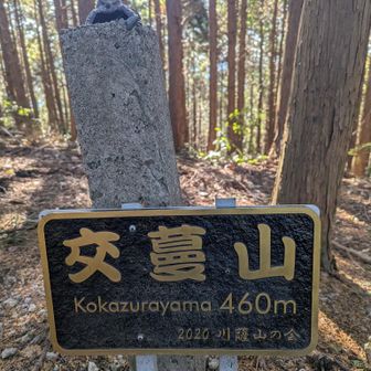 上に兜があります