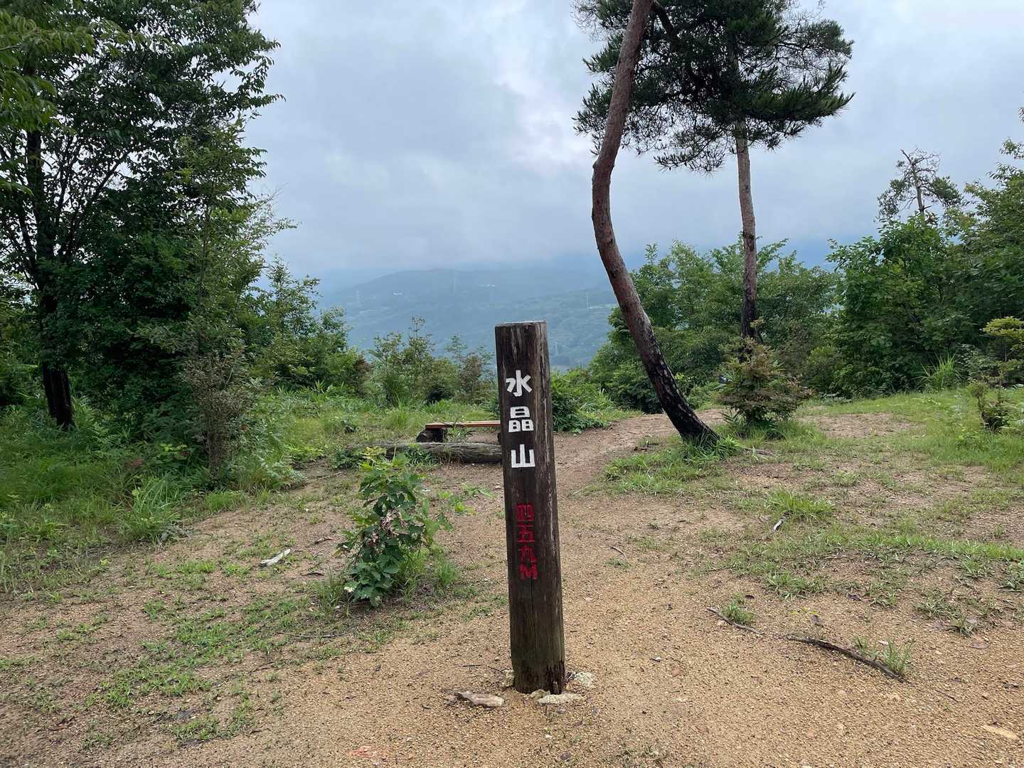 登頂🙌
久しぶりに蜘蛛の巣🕸️との激闘でした