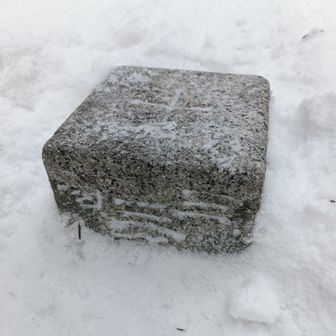 残念ながら山はガスのなか