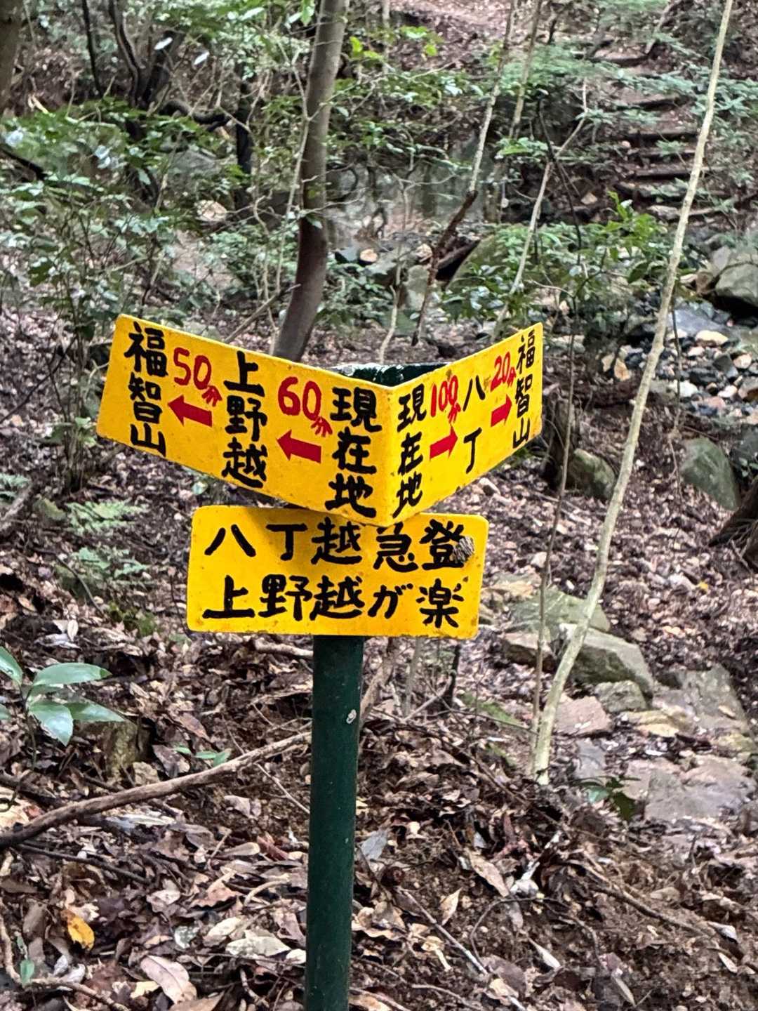 上野登山口-上野越・福智山分岐-鷹取山 往復コースの写真