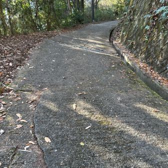 YAMAPルートないけど山頂に続くちゃんとした舗装路