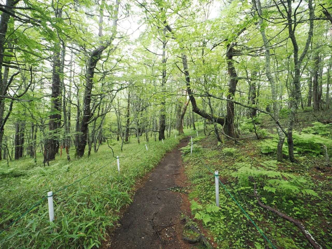 まずは篭ノ登山山へ