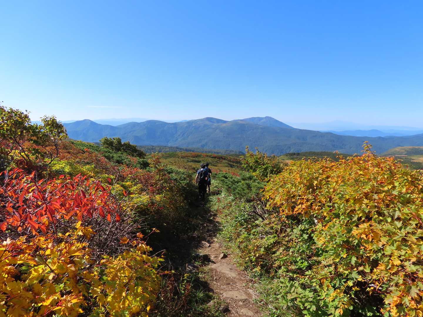 秋田駒の横に鳥海山