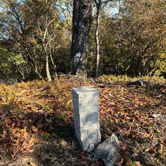 奥植松山1160m
三角点だけ？