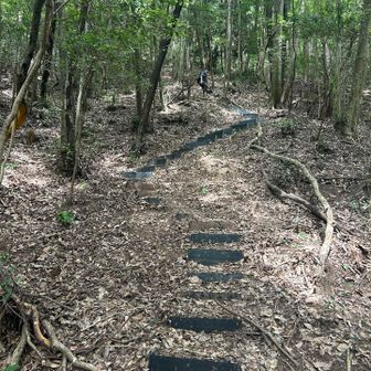 ゴール間近　旦那は下りが苦しいらしい