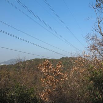 先程登った鳥谷山だろう
鳥谷山から電線の向こうに青の山が見えていた