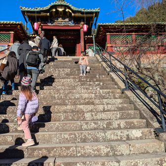 1段1段が高いのにスタスタ登る孫達