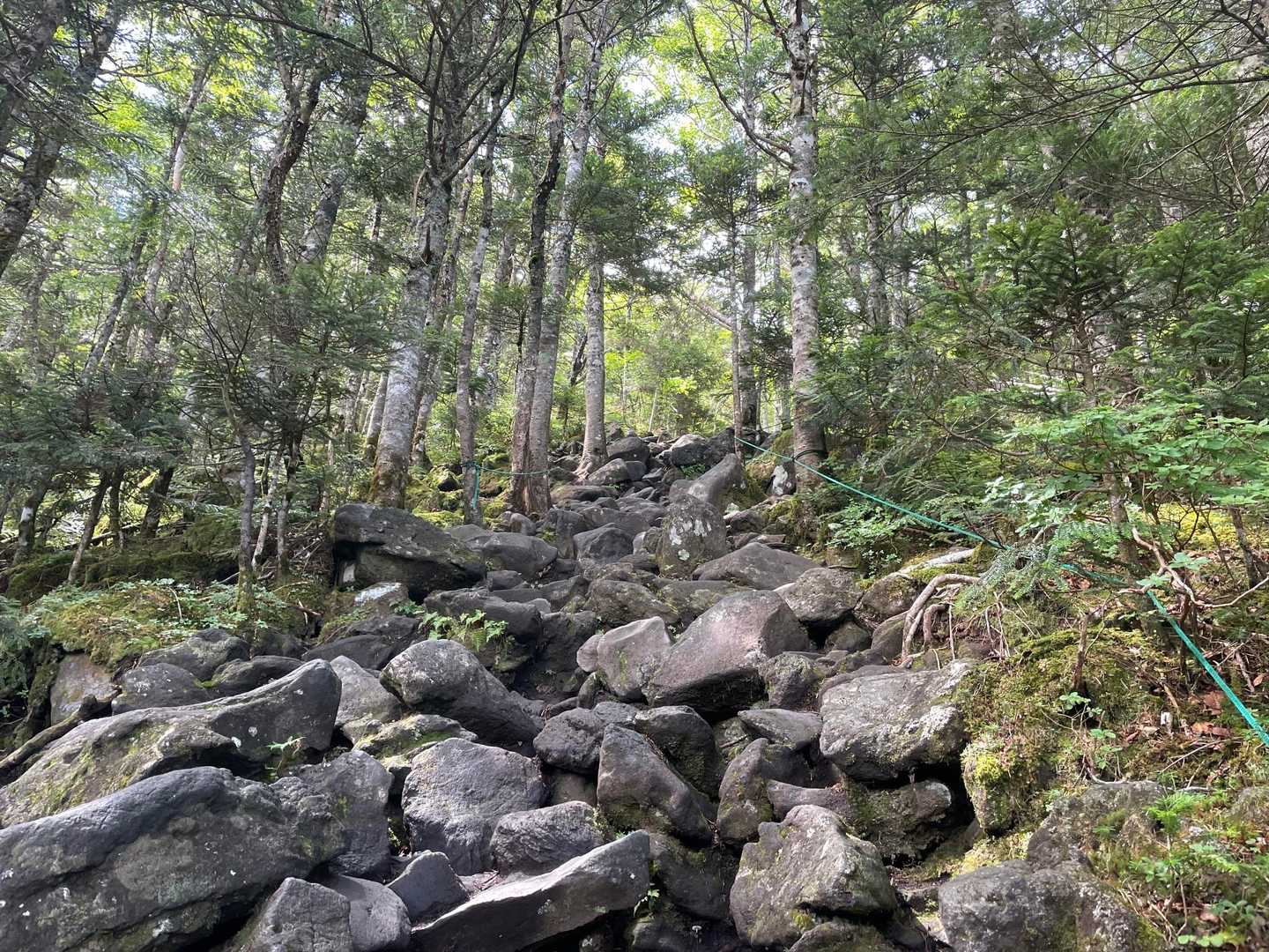 しばらく続きます