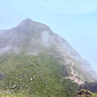　　　ガスが抜けて姿を現す東峰⛰️