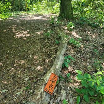 「大平良山」
大平良さんー
倒れてますが大丈夫ですかー( ・◇・)？
