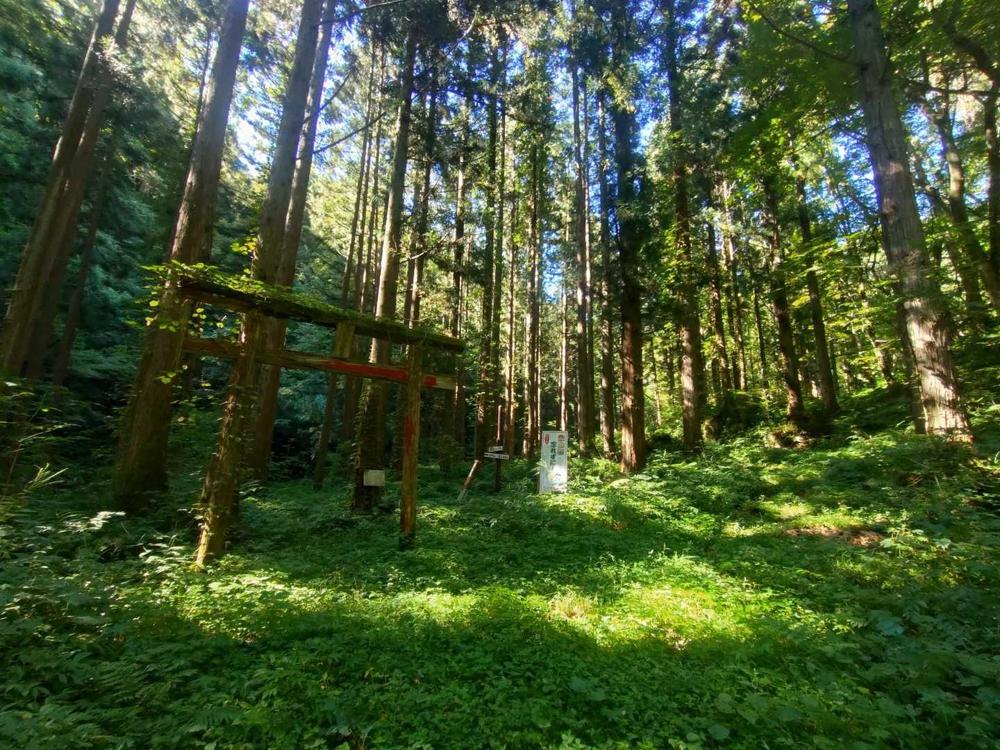 太平山野田登り口-御手洗神社-太平山 往復コースの写真