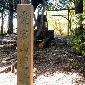 鳥居が分かりづらいが…
この鳥居を抜けると金刀比羅宮の参道が見えてくる