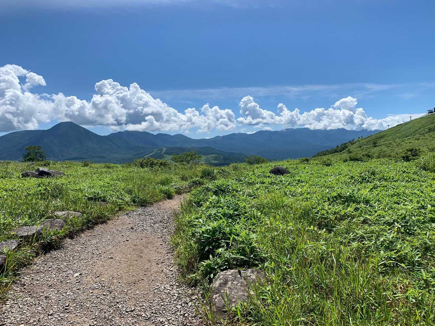 と言いつつ車山に向かう稜線まで来てみた
主峰はすっかり雲の中