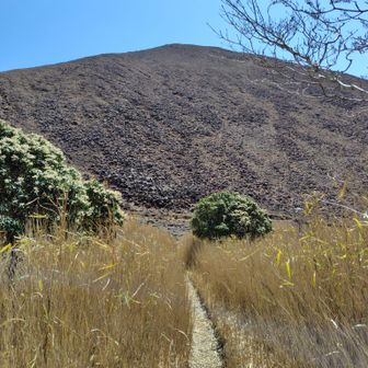 今回は体調も万全で、余力が残っていたこともあり、飯盛ヶ城に初挑戦しよう