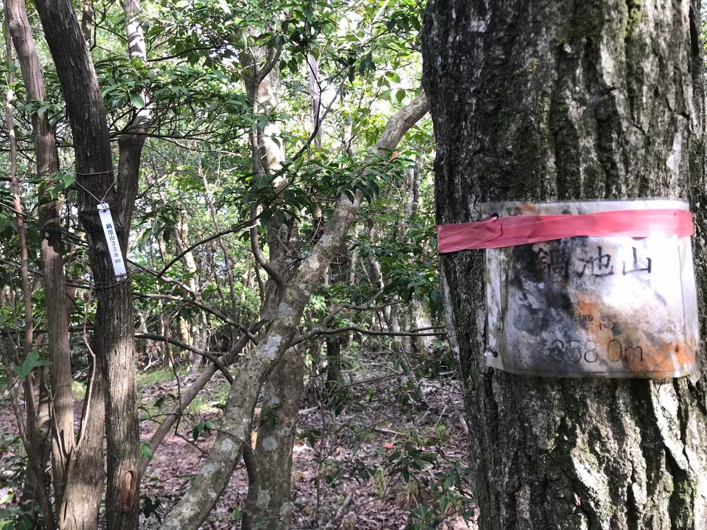 続けて鍋池山。眺望なし
