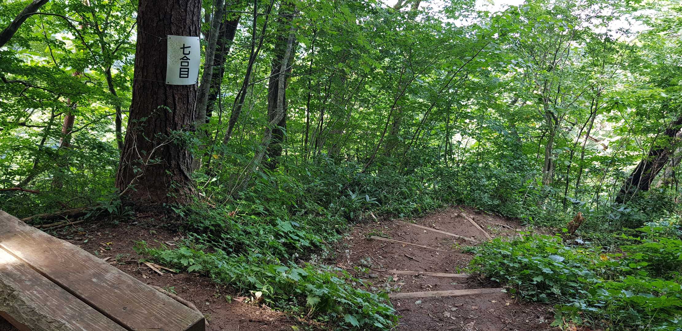 八乙女山五合目登山口 往復コースの写真