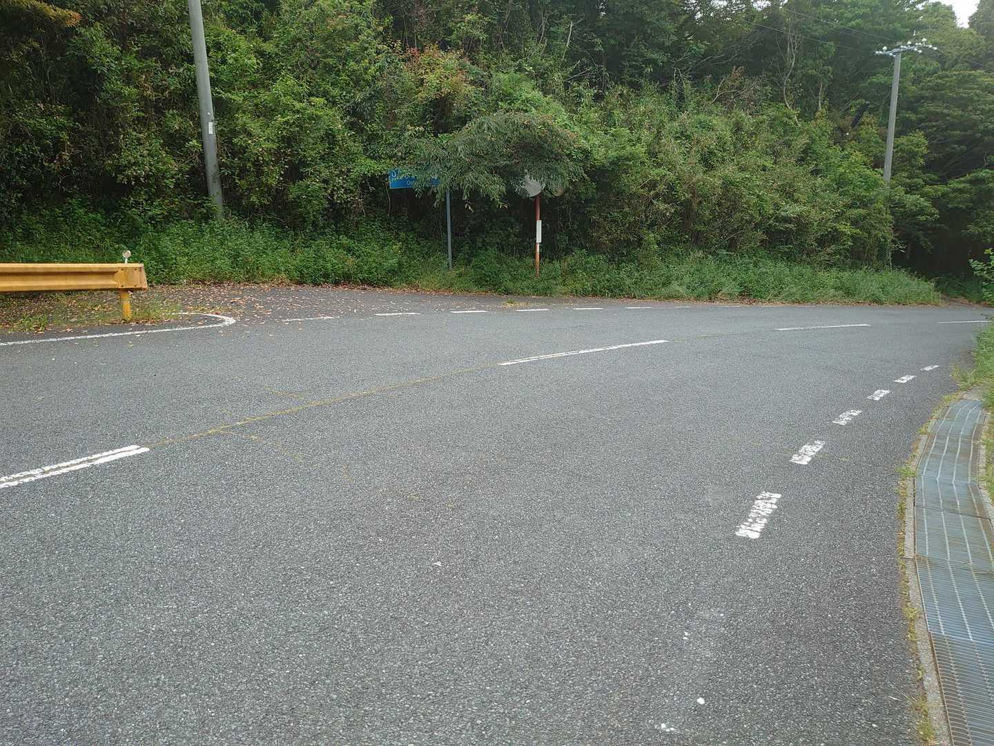 ここに駐車するのは勇気がいるなぁ😣
下山時には目の前に2台、撮影した位置に1台停まってました。