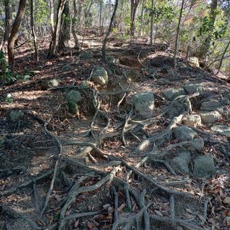 自然がたくさん♥