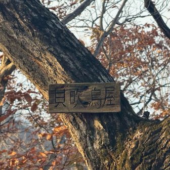 そろそろ5分〜10分おきにやってくる山頂に飽きてきました…10.貝吹鳥山。