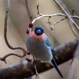 ウソ
正面顔が可愛い〜