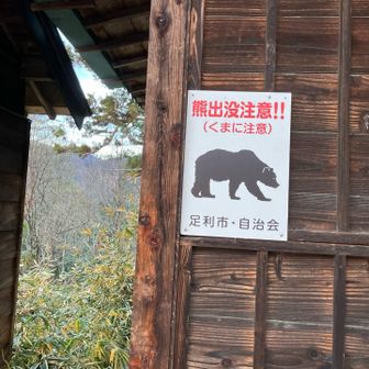 登り始めてすぐの登山道に、熊の💩あり…
チビ💩だったんで、子熊かな！？
周りを警戒しつつ、時たま独り言を言いつつ速足で…