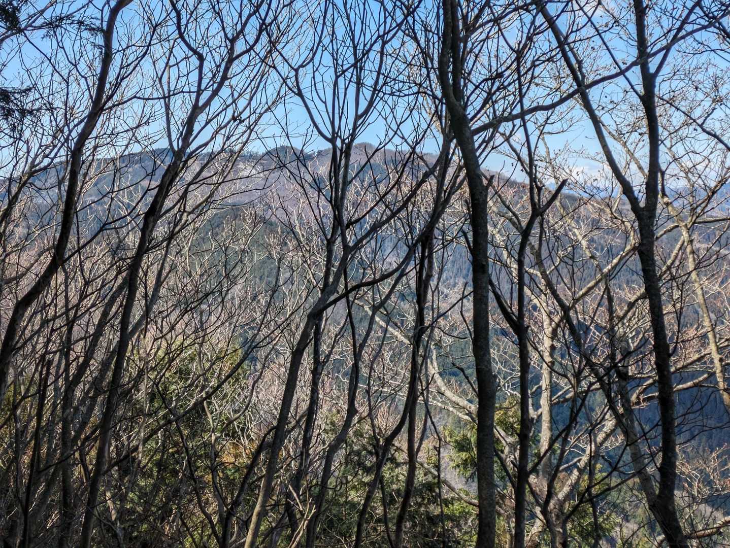 県界尾根筋の大久保山と父不見山方面