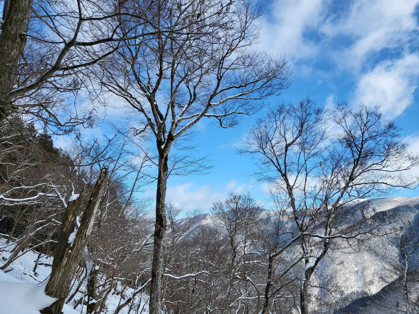 風はほとんどなし
ひなたと日陰の温度差がだいぶあります。