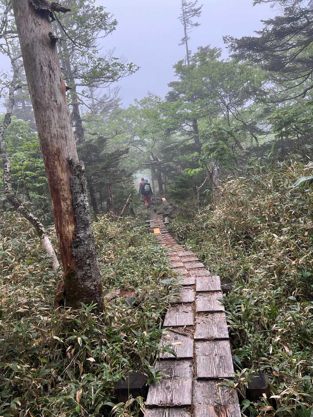 最後の木道を過ぎると登山口