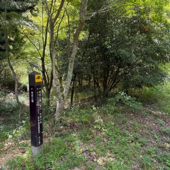 再度山へ