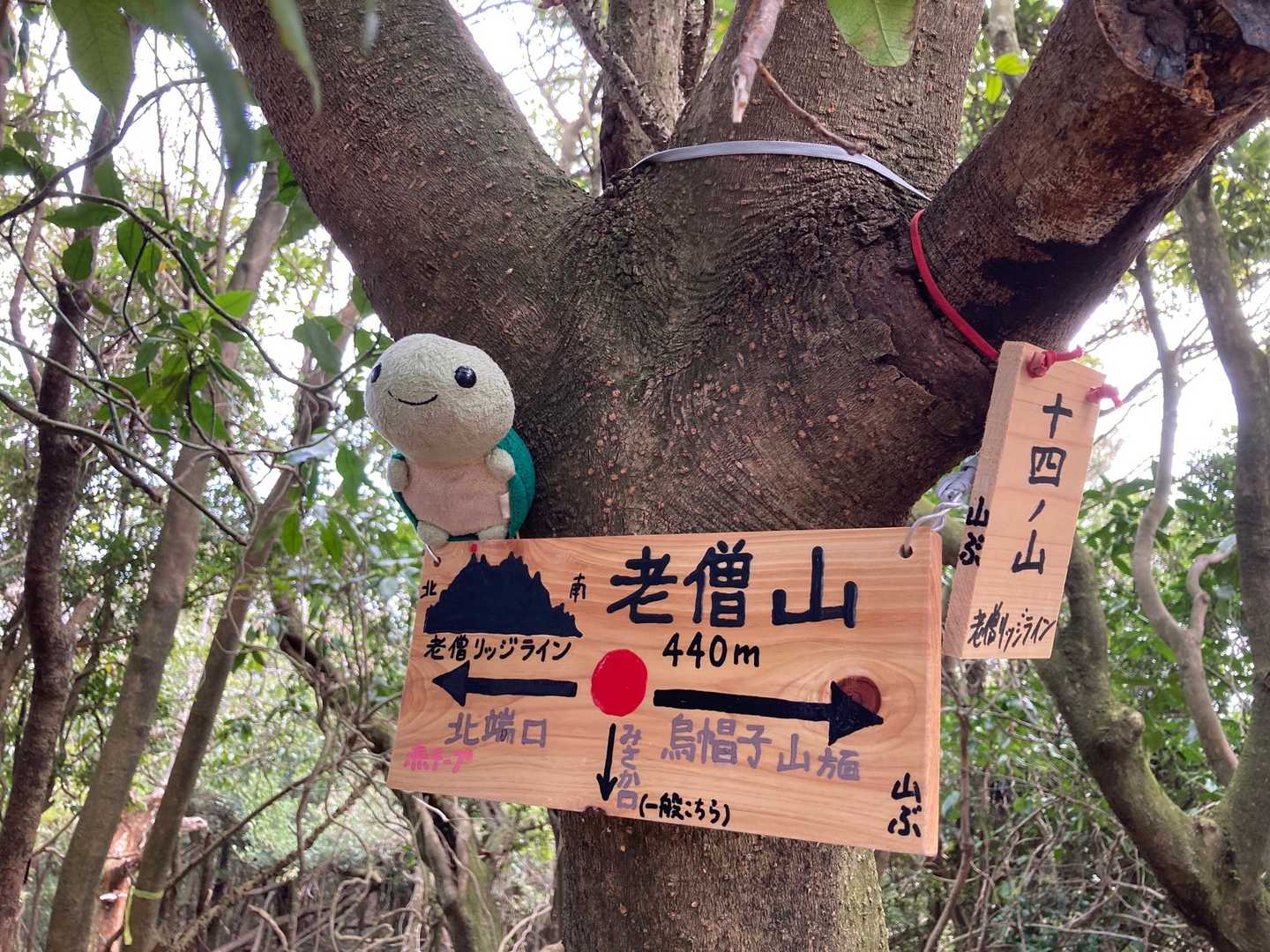 がんばりました🤗