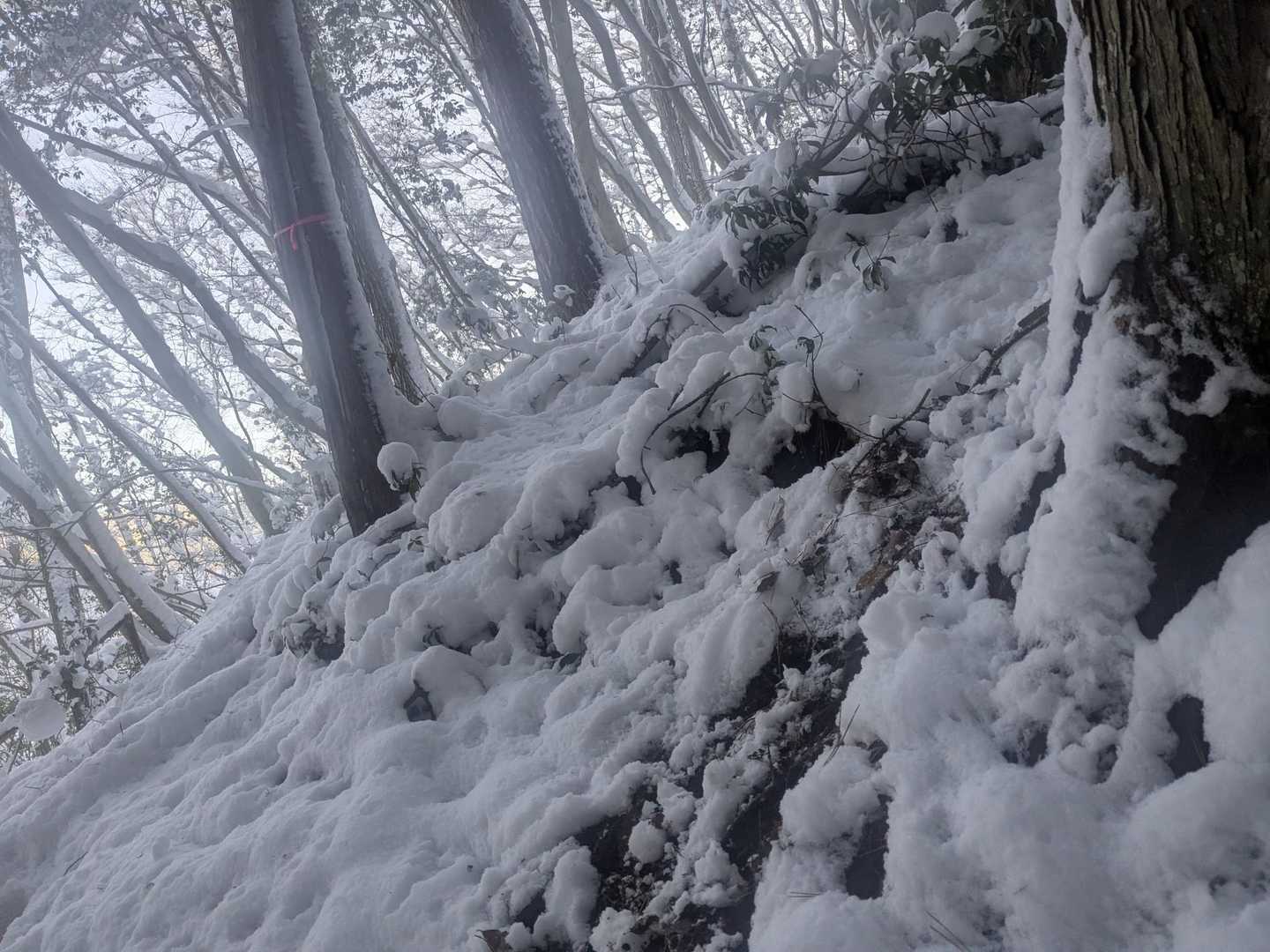 見た目以上の急坂なんですよ〜😨