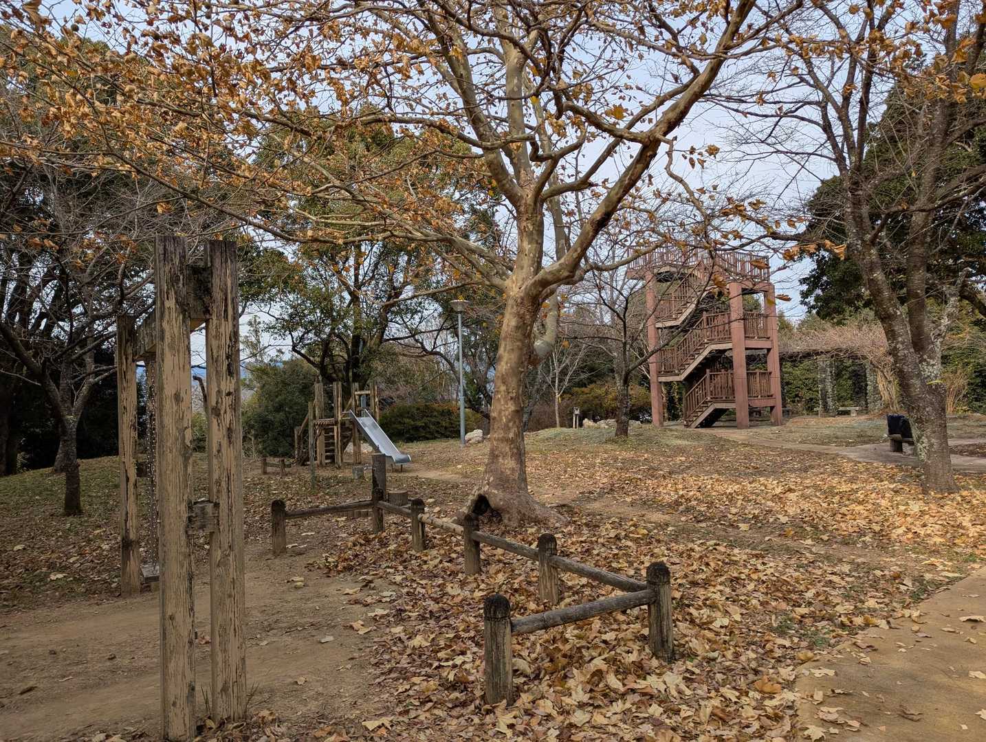 皿ヶ峰-鷲尾山-烏帽子山-白土峠-柏尾山 往復コースの写真
